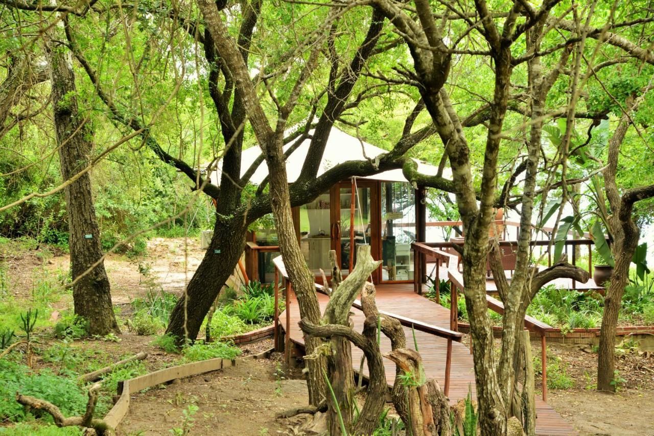 Nibela Lake Lodge By Dream Resorts Hluhluwe Esterno foto